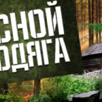 Блог Лесной бродяга