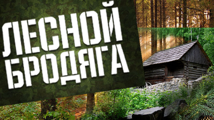 Лесной бродяга