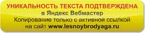 Уникальность текста подтверждена Яндекс Вебмастер